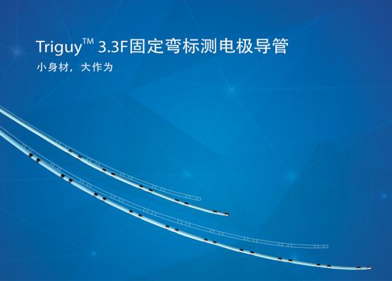 Triguy? 3.3F固定彎標測導(dǎo)管